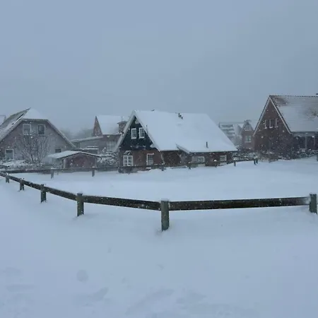 Fischerhaeuschen Baltrum, Dachgeschoss 公寓