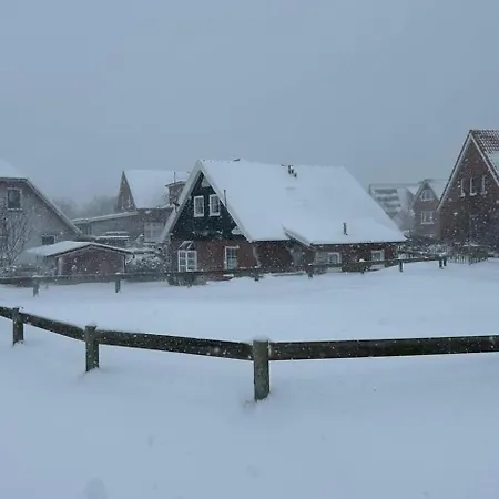Fischerhaeuschen Baltrum, Dachgeschoss 公寓